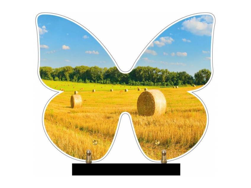 Butterfly eternal Plexiglas plaque.