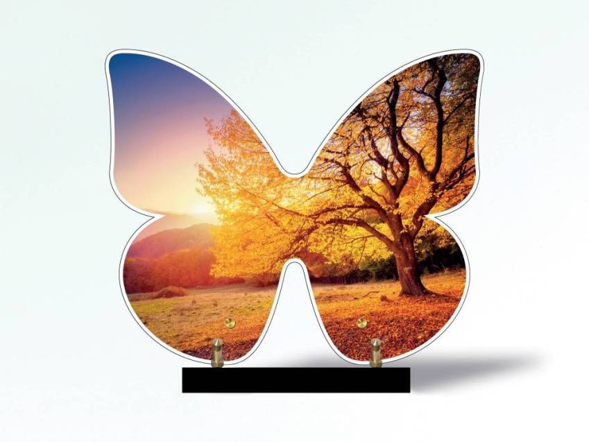 Butterfly eternal Plexiglas plaque.