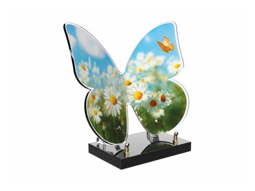 Butterfly eternal Plexiglas plaque.