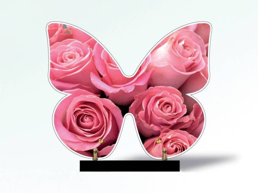 Butterfly eternal Plexiglas plaque.