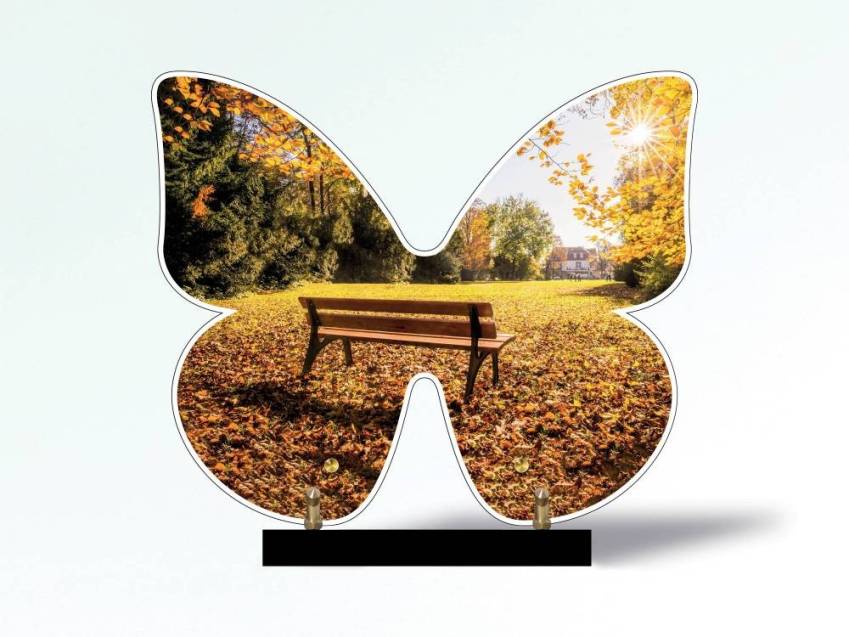 Butterfly eternal Plexiglas plaque.