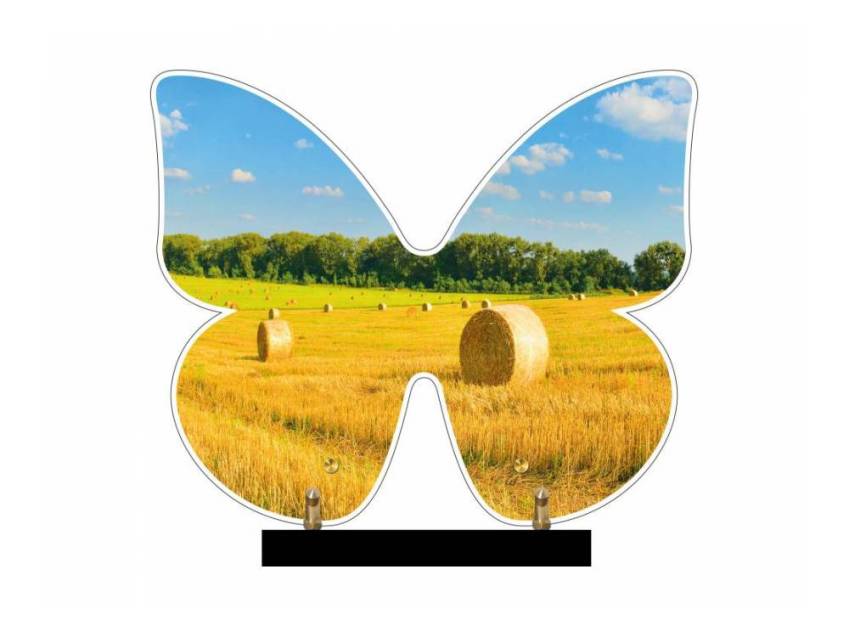 Butterfly eternal Plexiglas plaque.