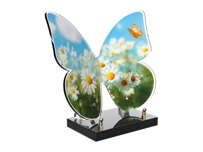 Butterfly eternal Plexiglas plaque.