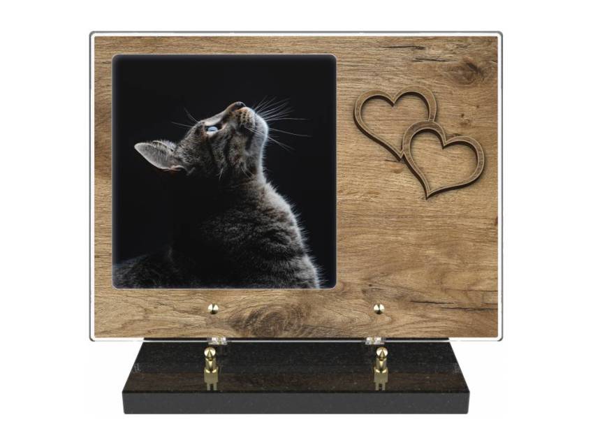 Plaque en plexiglas rectangulaire, jolie, fabuleuse