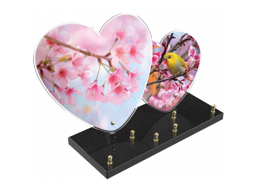 Plexiglas Heart Passion Plaque.