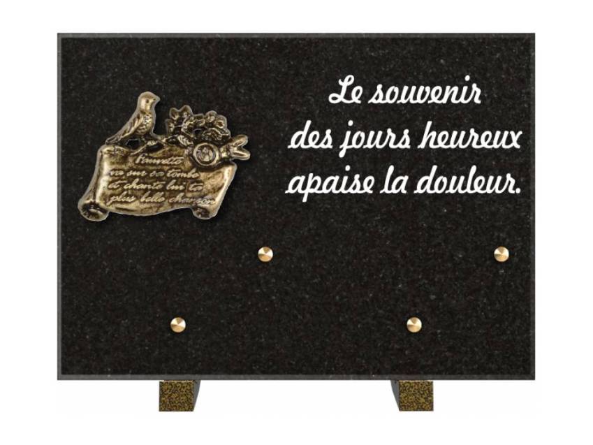 Granite Rectangle Aesthetic Plaque.