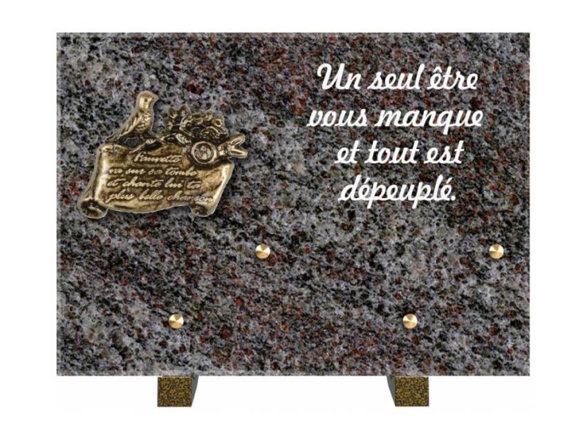 Granite Rectangle Aesthetic Plaque.