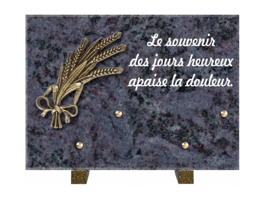 Granite Rectangle Aesthetic Plaque.