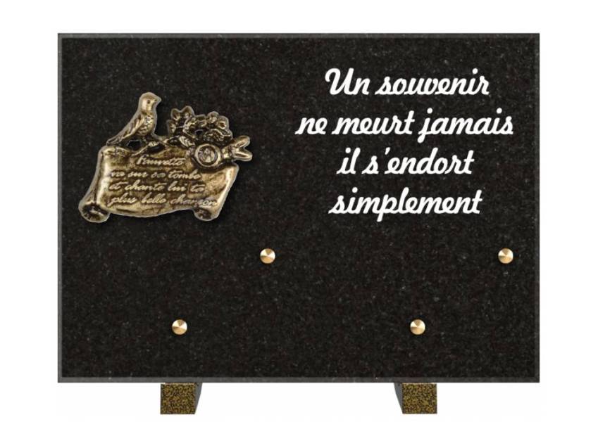 Granite Rectangle Aesthetic Plaque.