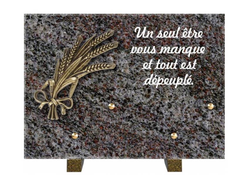 Granite Rectangle Aesthetic Plaque.