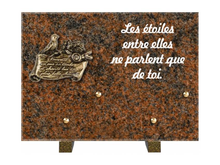 Granite Rectangle Aesthetic Plaque.