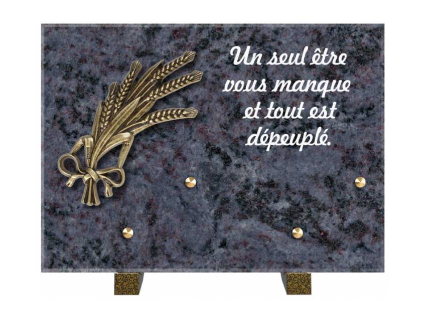 Granite Rectangle Aesthetic Plaque.