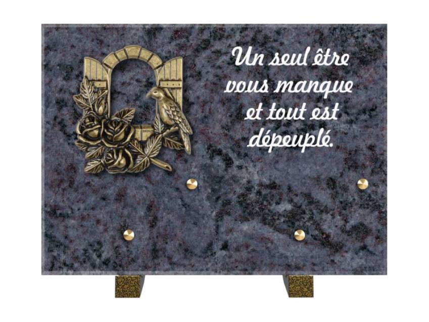 Granite Rectangle Aesthetic Plaque.