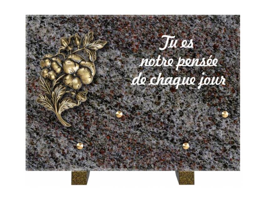 Granite Rectangle Aesthetic Plaque.