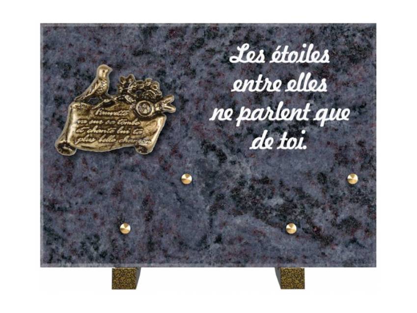 Granite Rectangle Aesthetic Plaque.