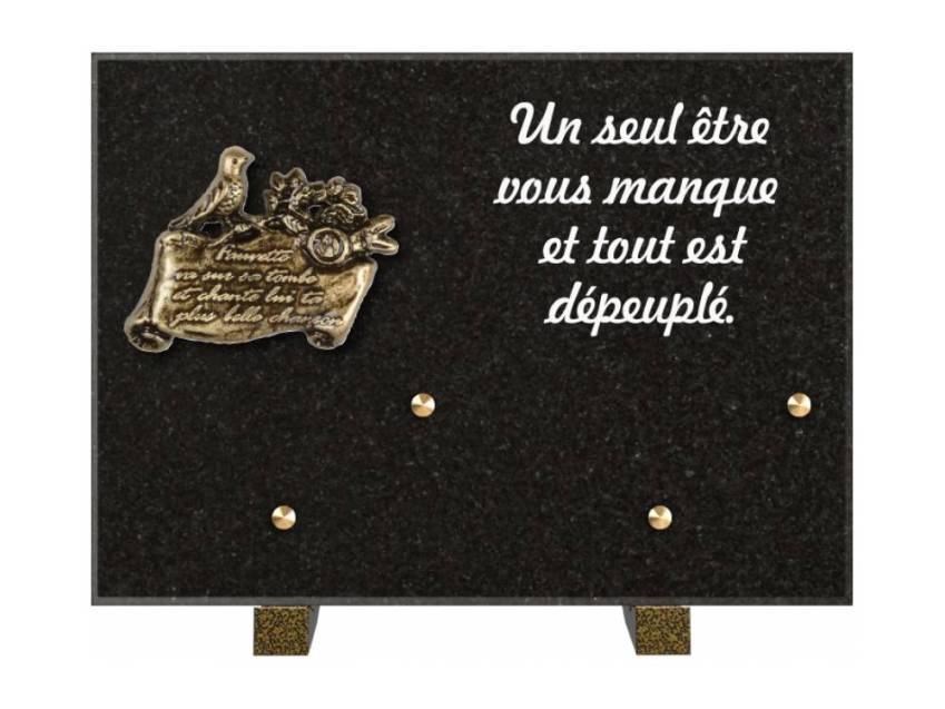 Granite Rectangle Aesthetic Plaque.