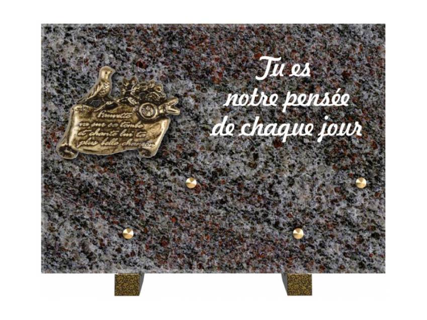 Granite Rectangle Aesthetic Plaque.