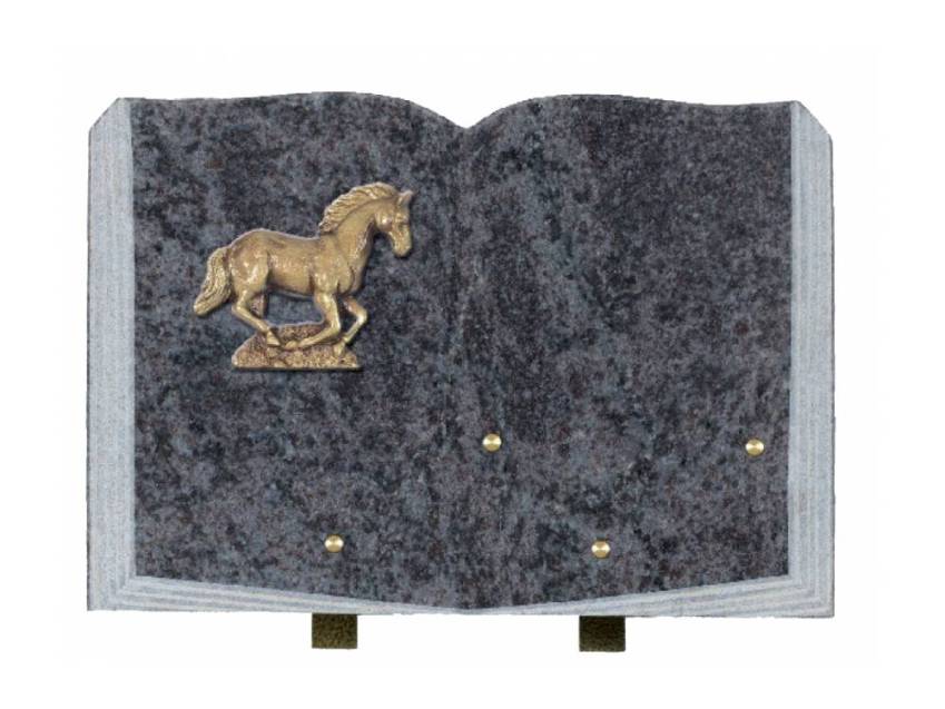 Granite plaque - Book passion