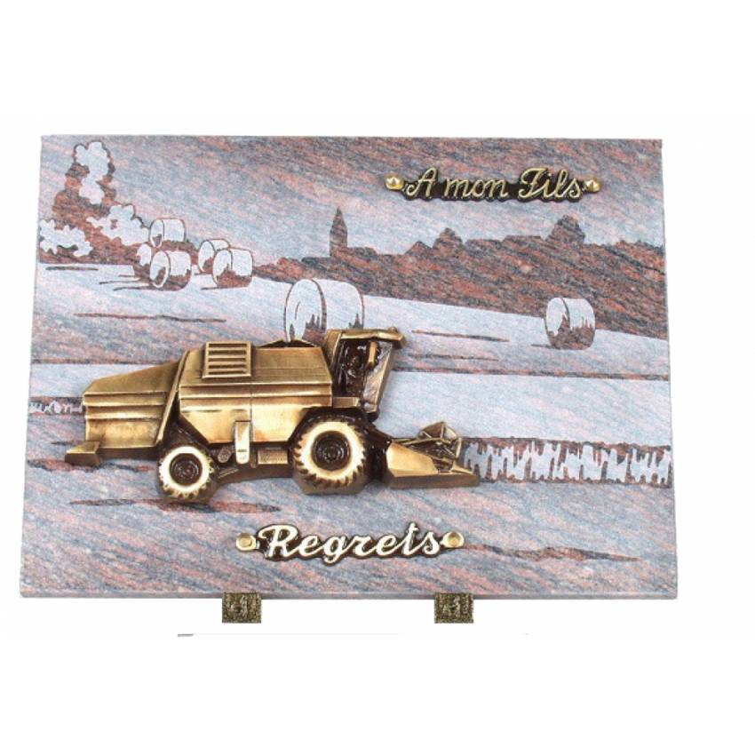 Authentic Granite Rectangle Plaque