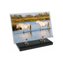Plexiglas Rectangle Harmony Plaque.
