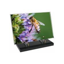 Remarkable Rectangular Plexiglas Plaque.