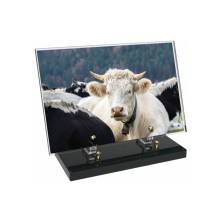 Rectangular Plexiglas plaque memory.