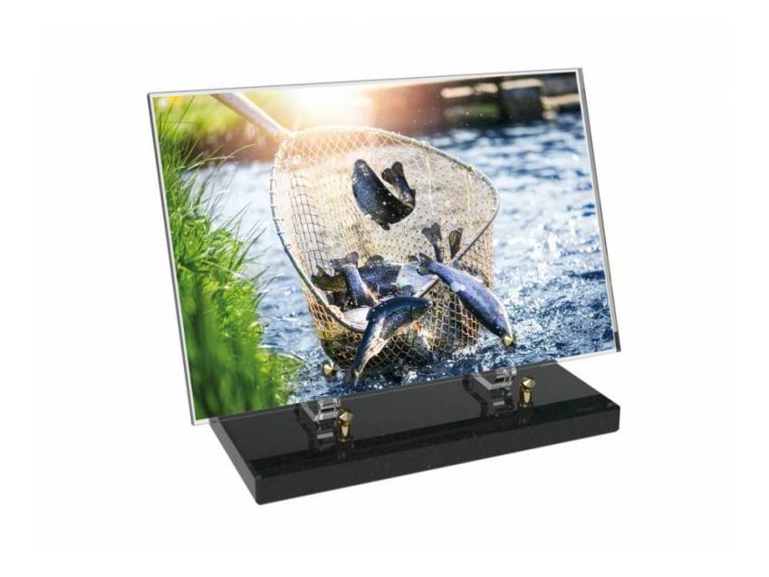Peach Rectangle Plexiglas Plate