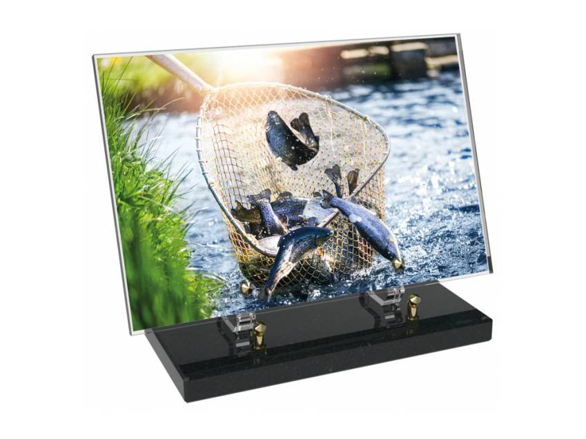 Peach Rectangle Plexiglas Plate